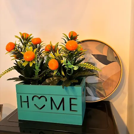 Apartment Plata Valencia